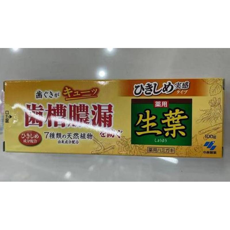 小林制药 生叶药用牙膏 齿槽浓漏 香草薄荷 100g