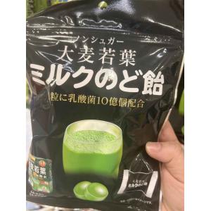 大麦若叶乳酸菌糖 70g（不可发包税路线）