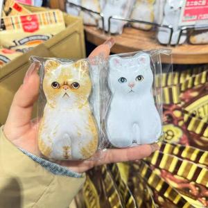 KALDI 情人节期间限定 小猫盒装巧克力 9g5粒入（任意路线可发）